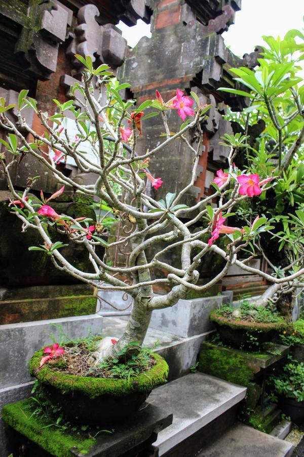 Rama Homestay Ubud Exterior foto