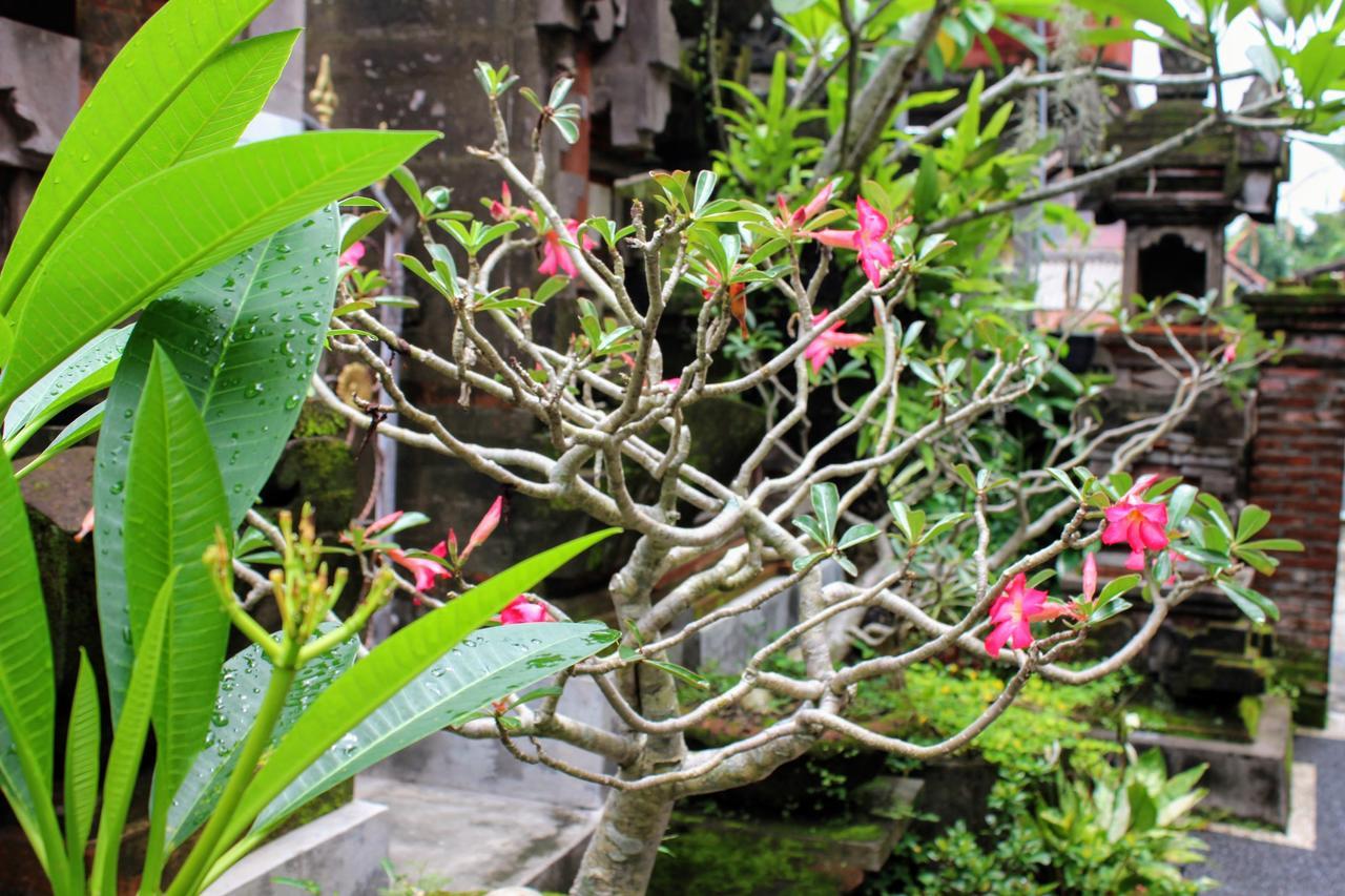 Rama Homestay Ubud Exterior foto